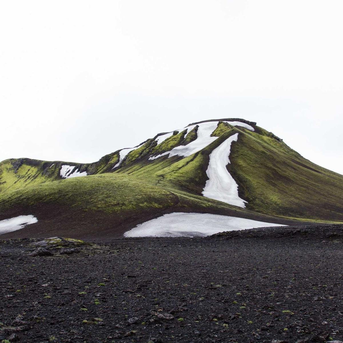 West Elm Mid-Century Desk
