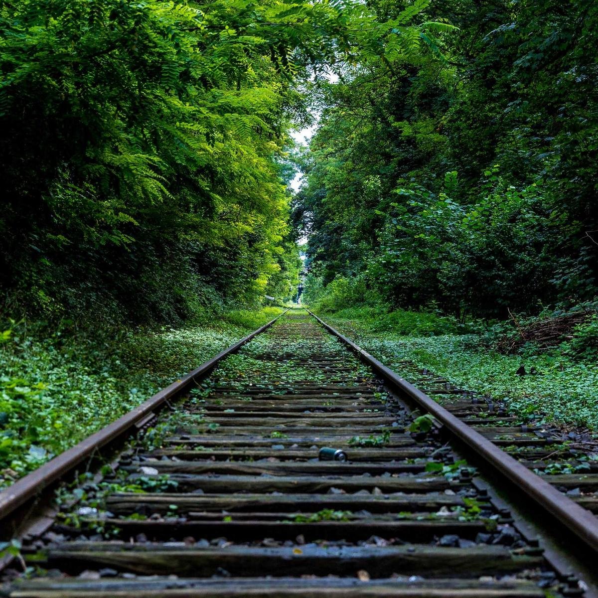 Puma Velocity Nitro 3