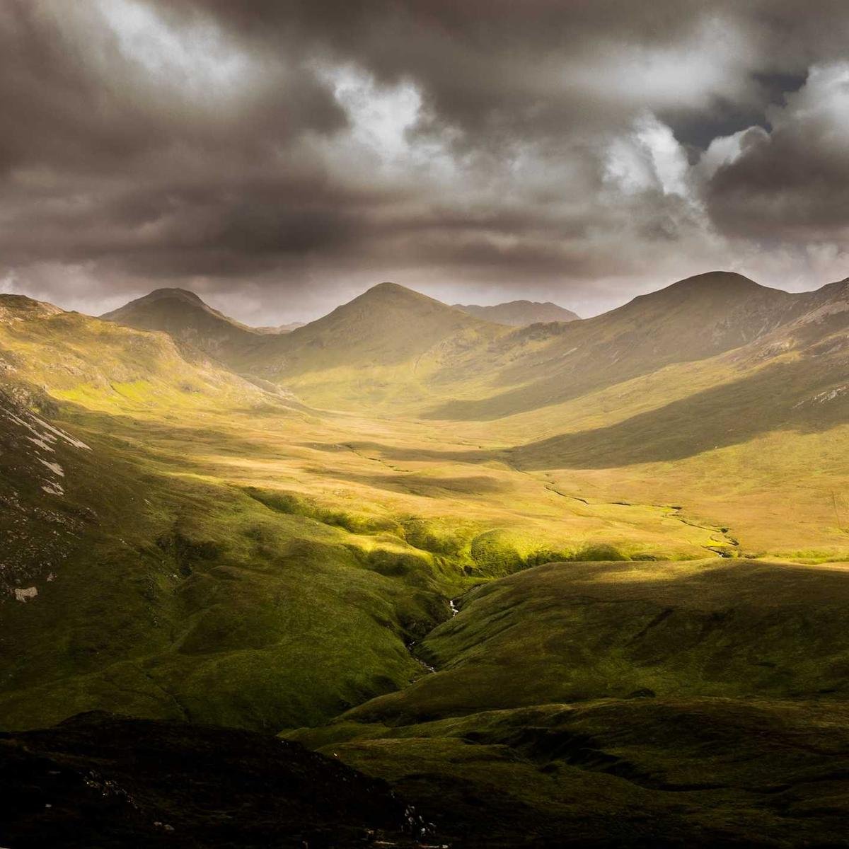 CeraVe Hydrating Cleanser