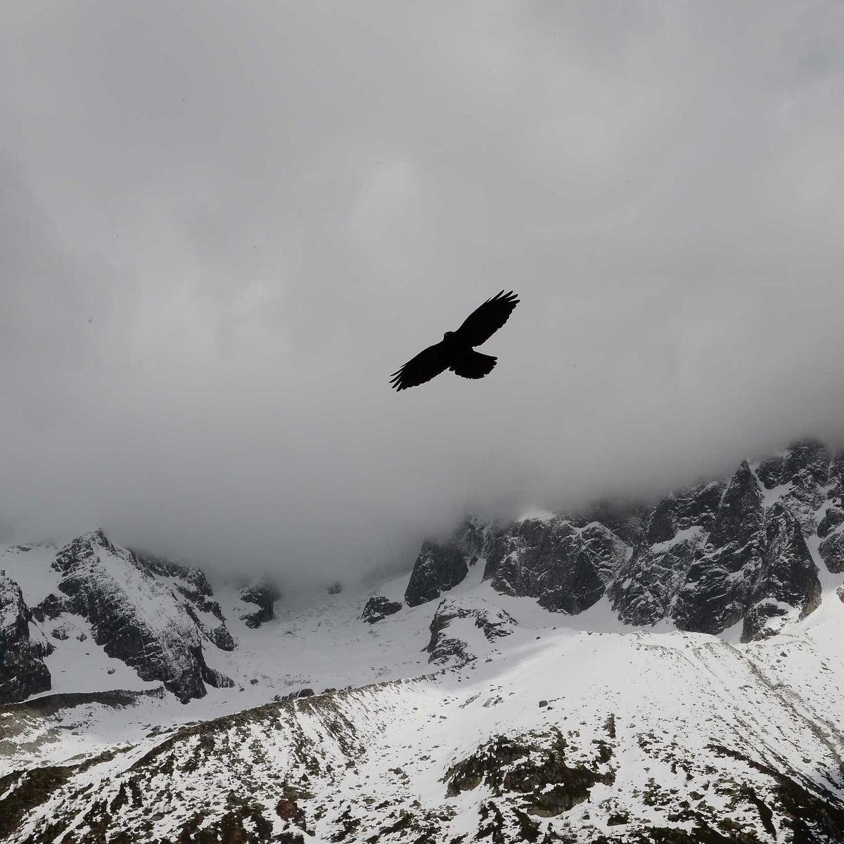 Zara Wide-Leg Trousers