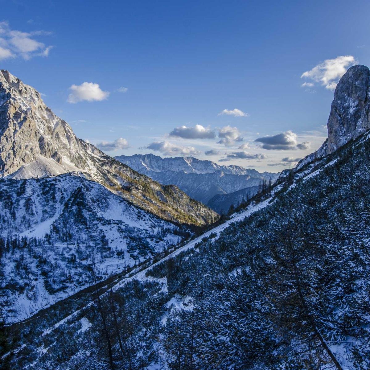 H&M Basic Crewneck Tee